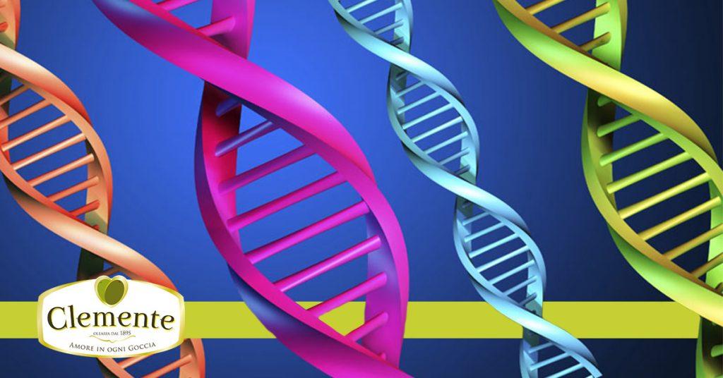 Ad affermarlo sono due nutrizionisti, Aidan Goggins e Glenn Matten, autori del libro Sirt, la dieta del gene magro... ma cos'è il gene magro?
