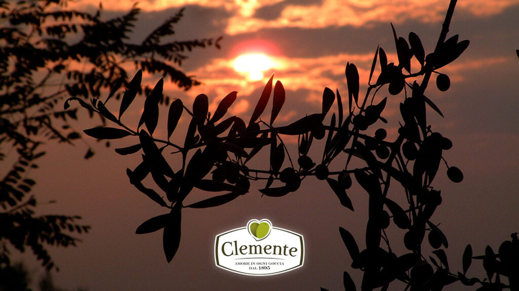 Autunno, olio nuovo Clemente